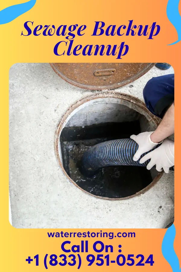 Sewage Backup Cleanup in Wayland, MO