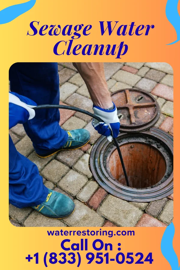 Sewage Water Cleanup in Wayland, MO